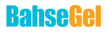 BahseGel Logo